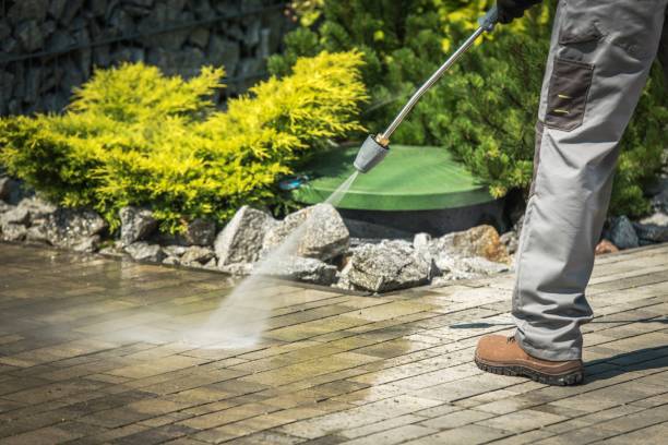 Best Animal Enclosure Cleaning  in Sands Point, NY